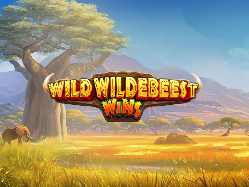 Imagem do jogo Wild Wildebeest Wins disponível no bet3333